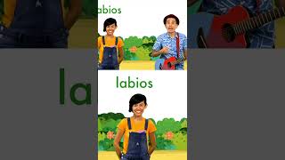 Conoce palabras por la letra L de León 🦁 123andres musicainfantil shortsvideo kidsvideo shorts [upl. by Viddah903]