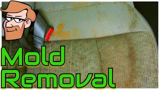 How to Remove Surface Mold amp Mildew from Car Seats • Cars Simplified [upl. by Rocker245]