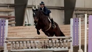 Ava Blackstock and Solstice 2’9 hunters schooling show 1st place [upl. by Annahsor]