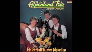 Orig Alpenland Trio  03 Posaunen Polka [upl. by Eceertal]