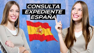 Nacionalidad española Consulta telemática de expedientes [upl. by Yasdnil]