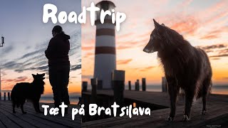 Dag 3 Tyskland Østrig roadtrip med hund [upl. by Nod734]