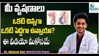 మీ వృషణాలు ఇలా ఉన్నాయా  Symptoms of Inguinal Hernia and Hydrocele in Telugu  Dr Abhilash Nali [upl. by Ttessil]