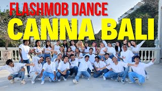 FLASH MOB DANCE BALI  EVENT GRAND OPENING CANNA BEACHCLUB BALI [upl. by Viens514]