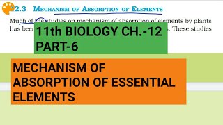 Class 11 BiologyCh12 Part6Mechanism of absorption of elementsStudy with Farru [upl. by Junie]