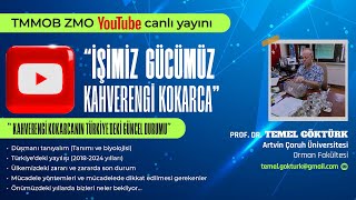 İŞİMİZ GÜCÜMÜZ KAHVERENGİ KOKARCA [upl. by Resiak]