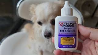 HONEST review of ZYMOX Enzymatic Ear Solution for Dogs [upl. by Vardon]