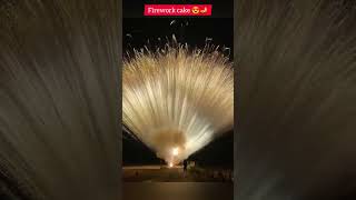 Amazing firework 💥 cake short [upl. by Nedia266]