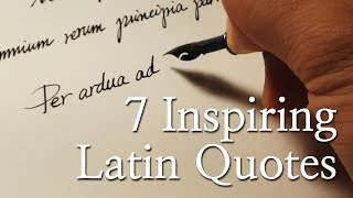 라틴어 명언 딥펜 캘리그래피 Latin Quotes Dip Pen Calligraphy │ NGNS TV 6 of 40 [upl. by Azile]