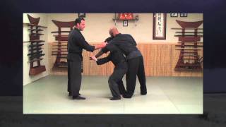 Nage Waza Bujinkan  Martial Art Throwing  Ninja Training Free Blackbelt Video Blog [upl. by Kathrine]