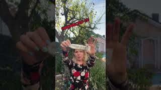 Demodex cure Kill Demodex infestation No more face mites Human solution for demodicosis Video 4 [upl. by Rhiamon]