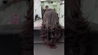 Why Haircuts in Jaipur Are Off the Charts salon haircut shorts [upl. by Bullis]