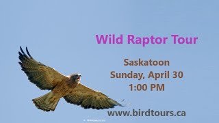 Wild Raptor Tour April 30 Saskatoon [upl. by Navoj]