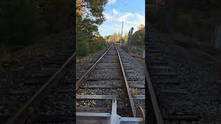 Rail biking  Kennebunkport railbike downeastmaine nature mainetravel [upl. by Adnoral]