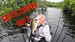 Kayak Fishing  Santee Cooper  KBF Day 2 Trail [upl. by Anialam]