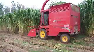 4QZ2100 napier silage forage harvester king grass cutter machine [upl. by Anoerb]