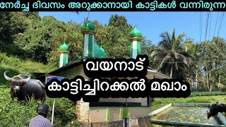 നേർച്ച ദിവസം അറുക്കാനായി കാട്ടികൾ സ്വയം വന്നിരുന്ന വയനാട്ടിലെ കാട്ടിച്ചിറക്കൽ മഖാം [upl. by Patnode]