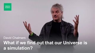 Skepticism and the Simulation Hypothesis — David Chalmers [upl. by Cinom]