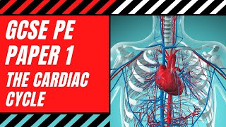 AQA GCSE PE The Cardiac Cycle The Heart The Pathway Of Blood  The Cardiovascular System [upl. by Hcab394]