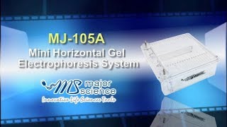 Major Science Mini Horizontal Gel Electrophoresis System MJ105A [upl. by Elag905]