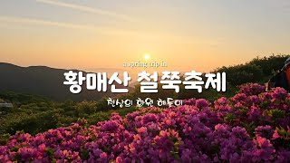 황매산 철쭉축제 지금이 절정 입니다 5월에 가볼만한곳 합천여행 산청여행 [upl. by Cormack]