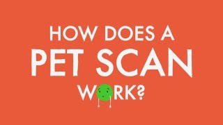 How does a PET scan work [upl. by Bloxberg378]