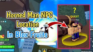 Horned Man NPC Location In Blox Fruits 2024  Where To Find Horned Man NPC In Blox Fruits [upl. by Ishmael778]