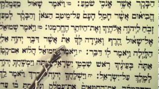 Haftorah Haftarah Reading for Parsha Zachor Amalek before Purim הפטרת זכור קריאה לפני פורים [upl. by Madanhoj]