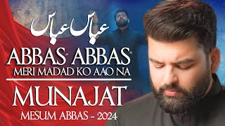 Abbas Abbas Meri Madad Ko Aao Na  Mesum Abbas Nohay 2024  Munajat Mola Abbas Noha [upl. by Terrie]