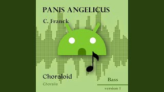 Panis angelicus All voices [upl. by Norrad]