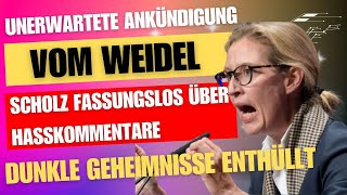 Alice Weidel Schockiert mit Unerwarteter Ankündigung Scholz Fassungslos über Hasskommentare [upl. by Latsryc]