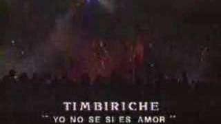 Timbiriche  No se si es Amor [upl. by Alahs]