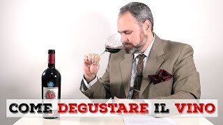 Come si degusta il VINO  Tutorial [upl. by Shultz]