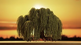 Make this DIY Weeping Willow Tree for JawDropping Terrain [upl. by Terrence668]