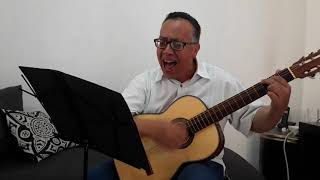 Llamarada  Luis Miguel  cover guitarra [upl. by Nudnarb567]