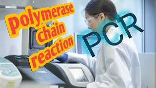 process of polymerase chain reactionbiochemistry pcr method science icmr  CSIR [upl. by Ojaras365]