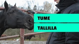 TUME OIKEISSA TÖISSÄ 2 Hevostallilla [upl. by Malkah88]