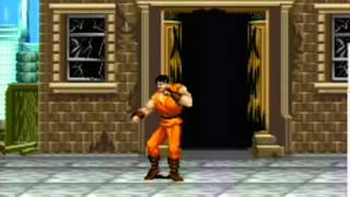 Final Fight PC Game Free Download [upl. by Sedgewick]