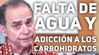 Episodio 1734 Falta De Agua Y Adicción A Carbohidratos [upl. by Jer76]