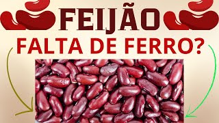 Benefícios do Feijão [upl. by Odraner]