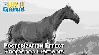 How You Can Make a Black and White Posterization Effect in Photoshop Elements [upl. by Cone217]