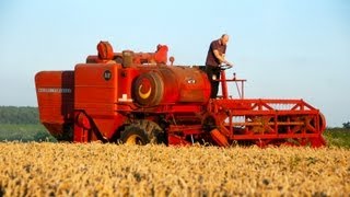 Classic Combine Week 6 Massey Ferguson 510 [upl. by Celinda]