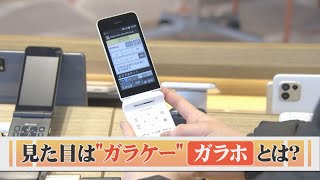 「ガラケー」×「スマホ」…４Ｇ対応の「ガラホ」が普及 [upl. by Vick]