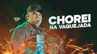 Tarcísio do acordeon CHOREI NA VAQUEIJADA 🐴 [upl. by Brandtr]