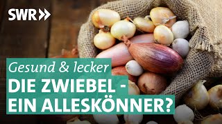 Was man über Zwiebeln wissen muss Sorten Verwendung Inhaltsstoffe  Marktcheck SWR [upl. by Aevin417]