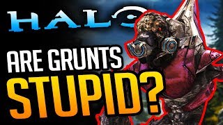 Are Halos Grunts ACTUALLY Stupid or secretly smart [upl. by Siuoleoj]