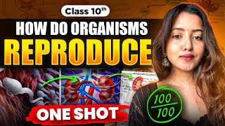 CLASS 10 HOW DO ORGANISMS REPRODUCE  BIOLOGY CLASS 10  SHUBHAM PATHAK science cbseclass10 bio [upl. by Peyter]