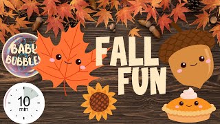 SENSORY VIDEO FOR BABIES AND TODDLERS FALL Party PUMPKIN FUN babysensory sensorydevelopment [upl. by Valsimot]