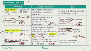 Tiroides Hipotiroidismo Hashimoto [upl. by Kerrie]