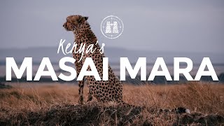 Masai Mara Kenya  2023 [upl. by Asyal]